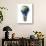 Light Bulb with Planet Earth Inside Glass, Asia View-null-Stretched Canvas displayed on a wall