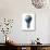 Light Bulb with Planet Earth Inside Glass, Asia View-null-Stretched Canvas displayed on a wall