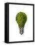 Light Bulb with Tree Inside Glass, Isolated on White Background-null-Framed Stretched Canvas