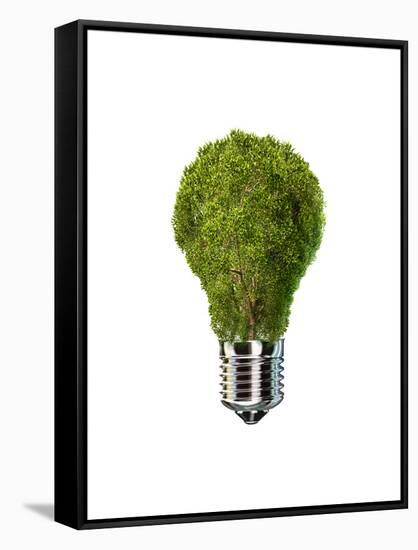 Light Bulb with Tree Inside Glass, Isolated on White Background-null-Framed Stretched Canvas