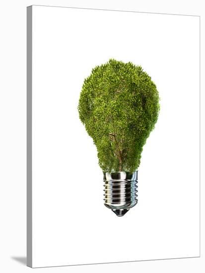 Light Bulb with Tree Inside Glass, Isolated on White Background-null-Stretched Canvas