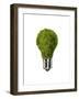 Light Bulb with Tree Inside Glass, Isolated on White Background-null-Framed Art Print