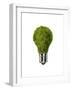 Light Bulb with Tree Inside Glass, Isolated on White Background-null-Framed Art Print