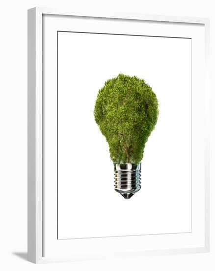 Light Bulb with Tree Inside Glass, Isolated on White Background-null-Framed Art Print