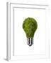 Light Bulb with Tree Inside Glass, Isolated on White Background-null-Framed Art Print