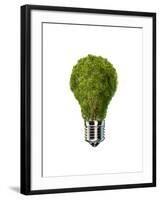 Light Bulb with Tree Inside Glass, Isolated on White Background-null-Framed Art Print