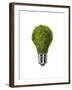 Light Bulb with Tree Inside Glass, Isolated on White Background-null-Framed Art Print