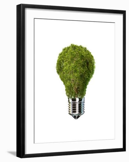 Light Bulb with Tree Inside Glass, Isolated on White Background-null-Framed Art Print