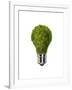 Light Bulb with Tree Inside Glass, Isolated on White Background-null-Framed Art Print