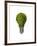 Light Bulb with Tree Inside Glass, Isolated on White Background-null-Framed Art Print