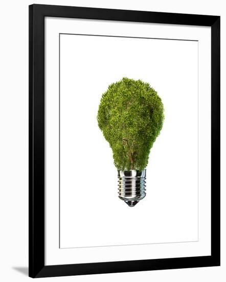 Light Bulb with Tree Inside Glass, Isolated on White Background-null-Framed Art Print