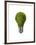 Light Bulb with Tree Inside Glass, Isolated on White Background-null-Framed Art Print