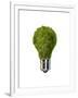 Light Bulb with Tree Inside Glass, Isolated on White Background-null-Framed Art Print