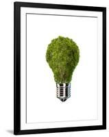 Light Bulb with Tree Inside Glass, Isolated on White Background-null-Framed Art Print