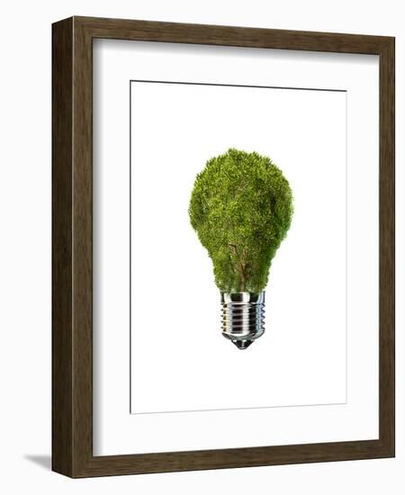 Light Bulb with Tree Inside Glass, Isolated on White Background-null-Framed Art Print