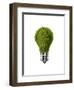 Light Bulb with Tree Inside Glass, Isolated on White Background-null-Framed Art Print