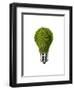 Light Bulb with Tree Inside Glass, Isolated on White Background-null-Framed Art Print