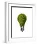 Light Bulb with Tree Inside Glass, Isolated on White Background-null-Framed Art Print