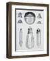 Light Bulbs on Display-null-Framed Giclee Print