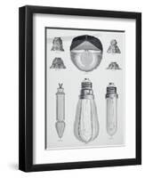 Light Bulbs on Display-null-Framed Giclee Print