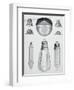 Light Bulbs on Display-null-Framed Giclee Print