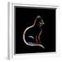 Light Cat-Ata Alishahi-Framed Giclee Print