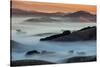 Light Color and Mist, Petaluma Hills, Sonoma County, San Francisco Bay Area-Vincent James-Stretched Canvas