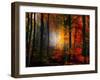 Light Colors-Philippe Sainte-Laudy-Framed Premium Photographic Print