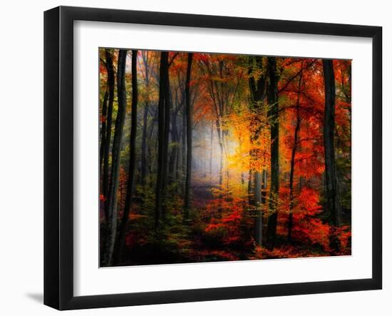 Light Colors-Philippe Sainte-Laudy-Framed Premium Photographic Print