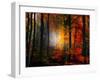 Light Colors-Philippe Sainte-Laudy-Framed Premium Photographic Print