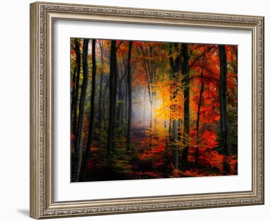 Light Colors-Philippe Sainte-Laudy-Framed Photographic Print