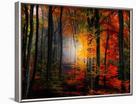 Light Colors-Philippe Sainte-Laudy-Framed Photographic Print