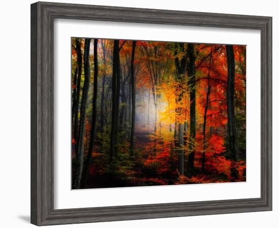 Light Colors-Philippe Sainte-Laudy-Framed Photographic Print