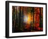 Light Colors-Philippe Sainte-Laudy-Framed Photographic Print