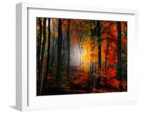 Light Colors-Philippe Sainte-Laudy-Framed Photographic Print