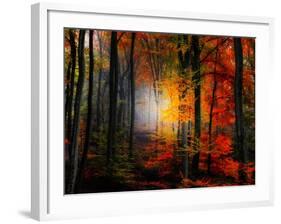 Light Colors-Philippe Sainte-Laudy-Framed Photographic Print