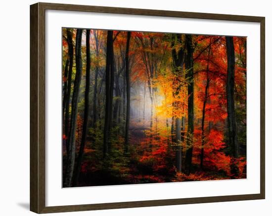 Light Colors-Philippe Sainte-Laudy-Framed Photographic Print