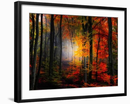 Light Colors-Philippe Sainte-Laudy-Framed Photographic Print