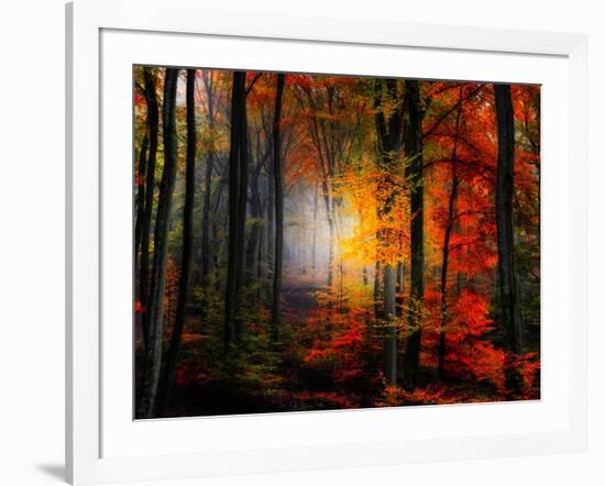 Light Colors-Philippe Sainte-Laudy-Framed Photographic Print