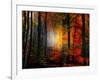 Light Colors-Philippe Sainte-Laudy-Framed Photographic Print