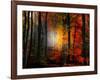 Light Colors-Philippe Sainte-Laudy-Framed Photographic Print