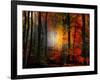 Light Colors-Philippe Sainte-Laudy-Framed Photographic Print