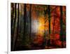 Light Colors-Philippe Sainte-Laudy-Framed Photographic Print