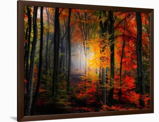 Light Colors-Philippe Sainte-Laudy-Framed Photographic Print