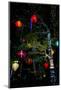 Light decorations. Tet Festival, New Year celebration, Vietnam.-Tom Norring-Mounted Photographic Print