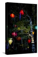Light decorations. Tet Festival, New Year celebration, Vietnam.-Tom Norring-Stretched Canvas