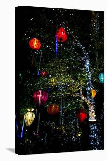 Light decorations. Tet Festival, New Year celebration, Vietnam.-Tom Norring-Stretched Canvas