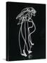 Light Drawing of Figure by Pablo Picasso Using Flashlight-Gjon Mili-Stretched Canvas