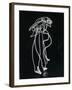 Light Drawing of Figure by Pablo Picasso Using Flashlight-Gjon Mili-Framed Photographic Print