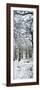 Light Dusting of Dnow in English Woodland, West Sussex, England, United Kingdom, Europe-Giles Bracher-Framed Photographic Print